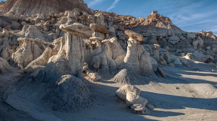 petrified forest hoodoos in the Devil's Playground